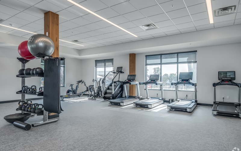 Full-Gym