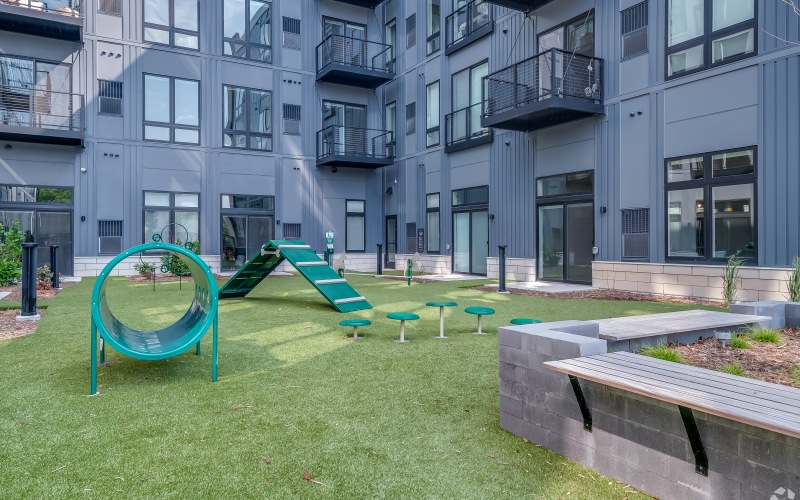 Outdoor Dog Run